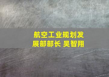 航空工业规划发展部部长 吴智翔